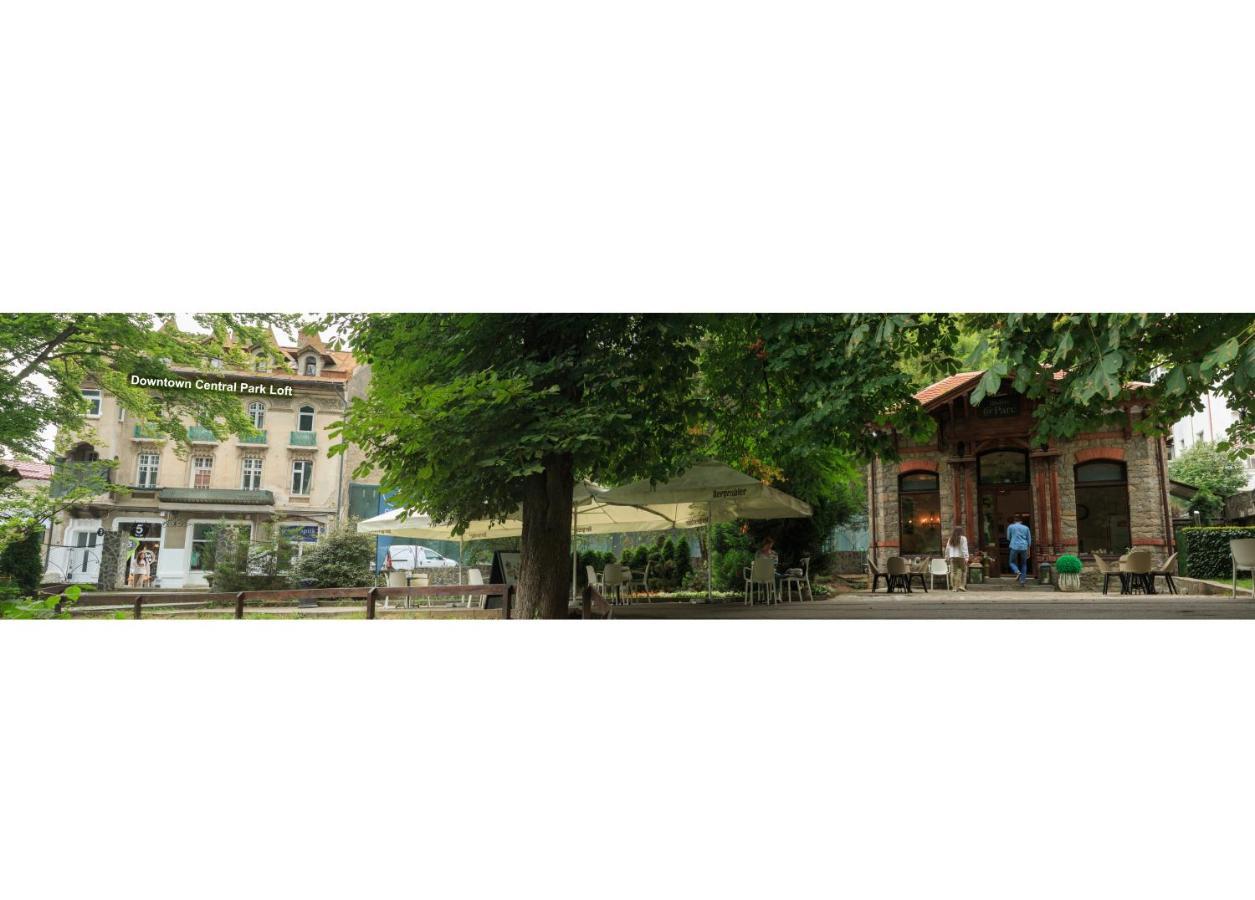 시나이아 Downtown Park Loft 아파트 외부 사진